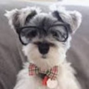 Meet your Posher, Lorene